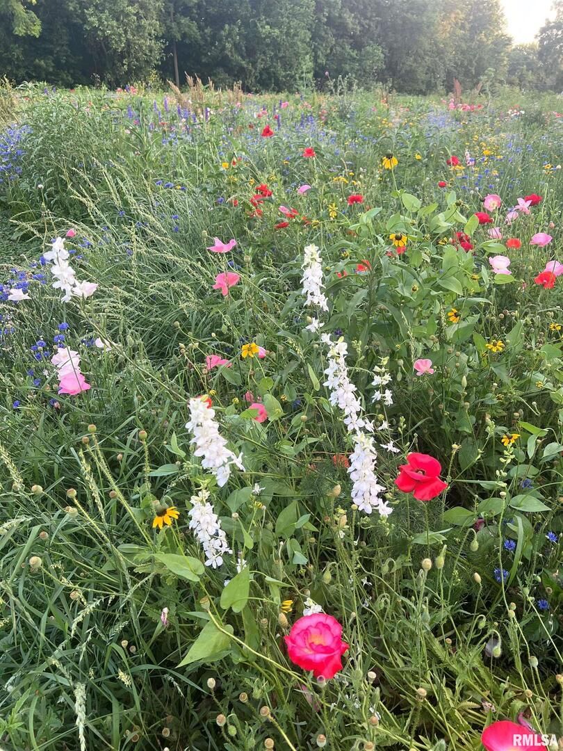 114 BROADWAY Street, Charlotte, IA 52731