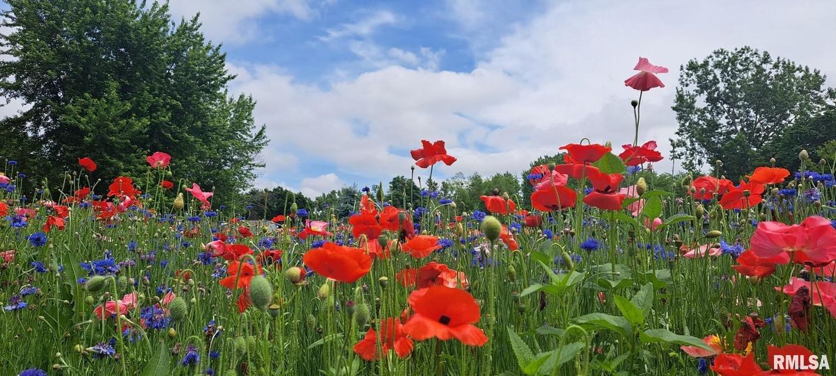 114 BROADWAY Street, Charlotte, IA 52731